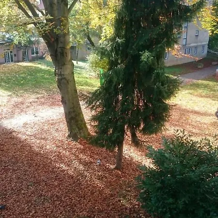 Colorful Center - Parking Available Apartament Lublana